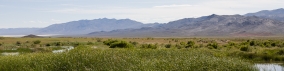 bookmarker-american-outback-12