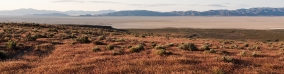 bookmarker-american-outback-19