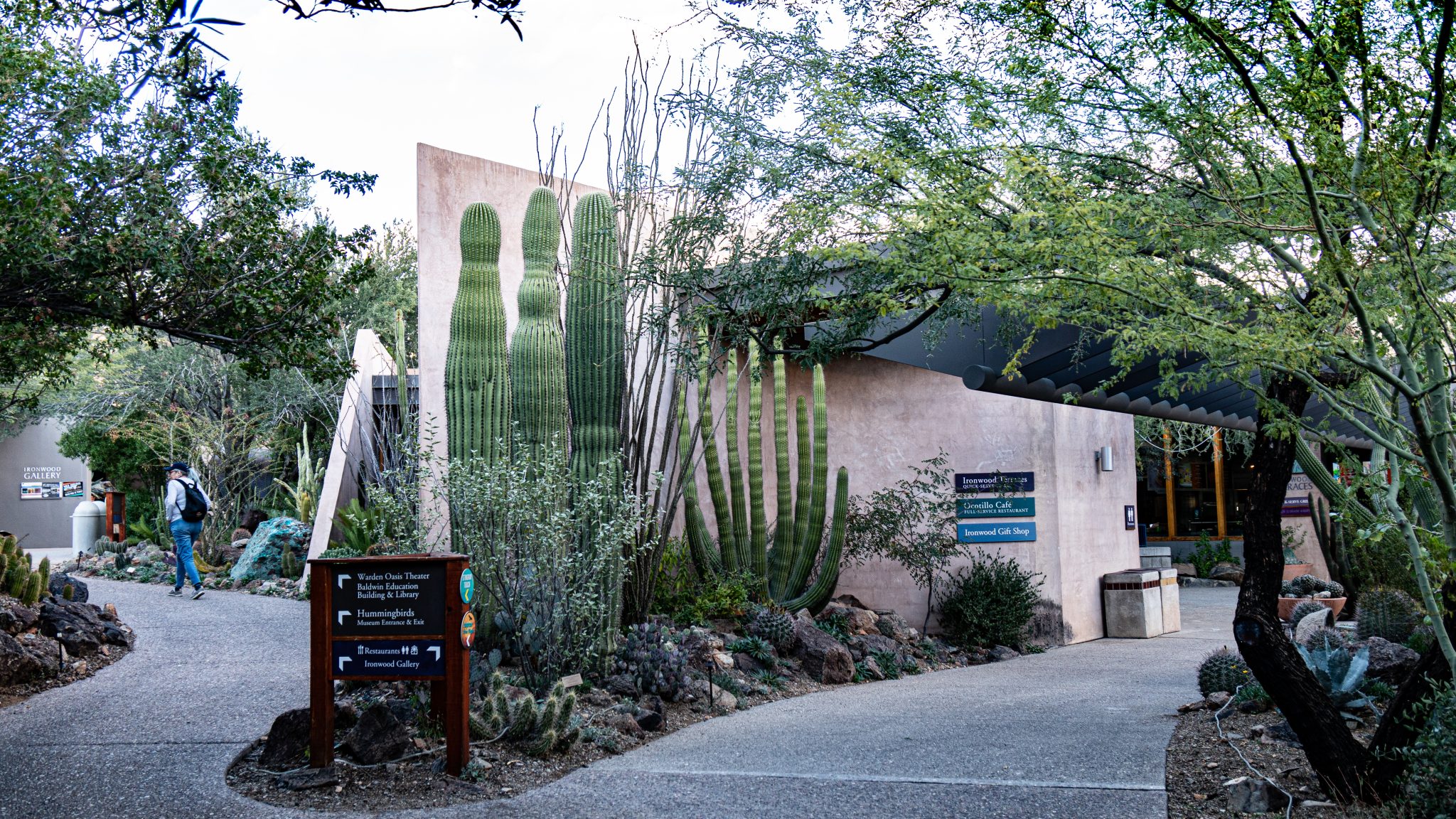 The Arizona-Sonora Desert Museum (& Tucson) | Steve Stern's Fieldnotes ...